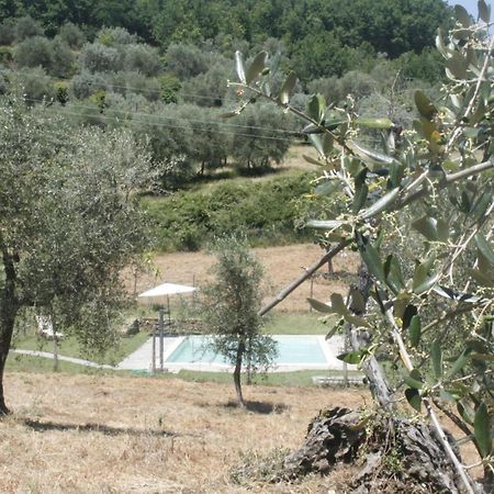 Spacious Room "Ragusana" For 2 Guests & Child Donnini Εξωτερικό φωτογραφία